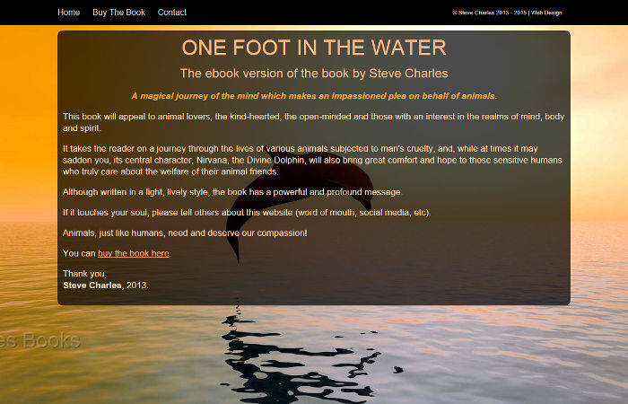 Steve Charles Website Screenshot